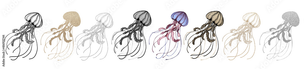Watercolor set of jellyfish. Underwater animals isolated on white background. Aquatic illustration for design, print or background. Watercolor set of jellyfish. Underwater animals isolated on white background. Aquatic illustration for design, print or background.
