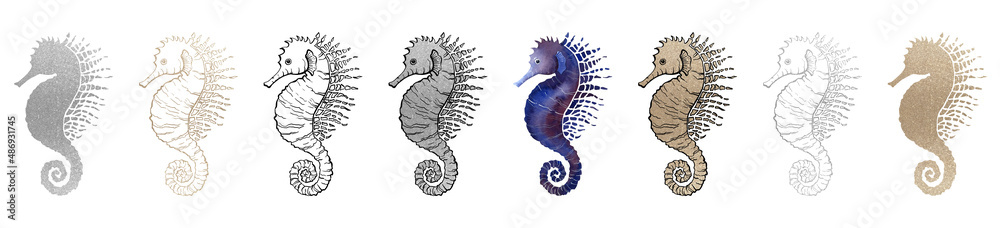 Watercolor set of seahorses. Underwater animals isolated on white background. Aquatic illustration for design, print or background.