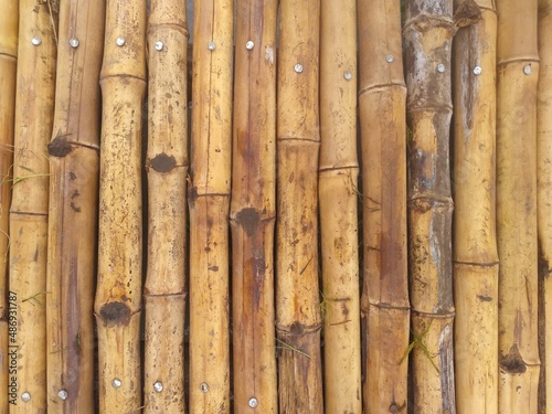 texture background with yellow neat bamboo bench