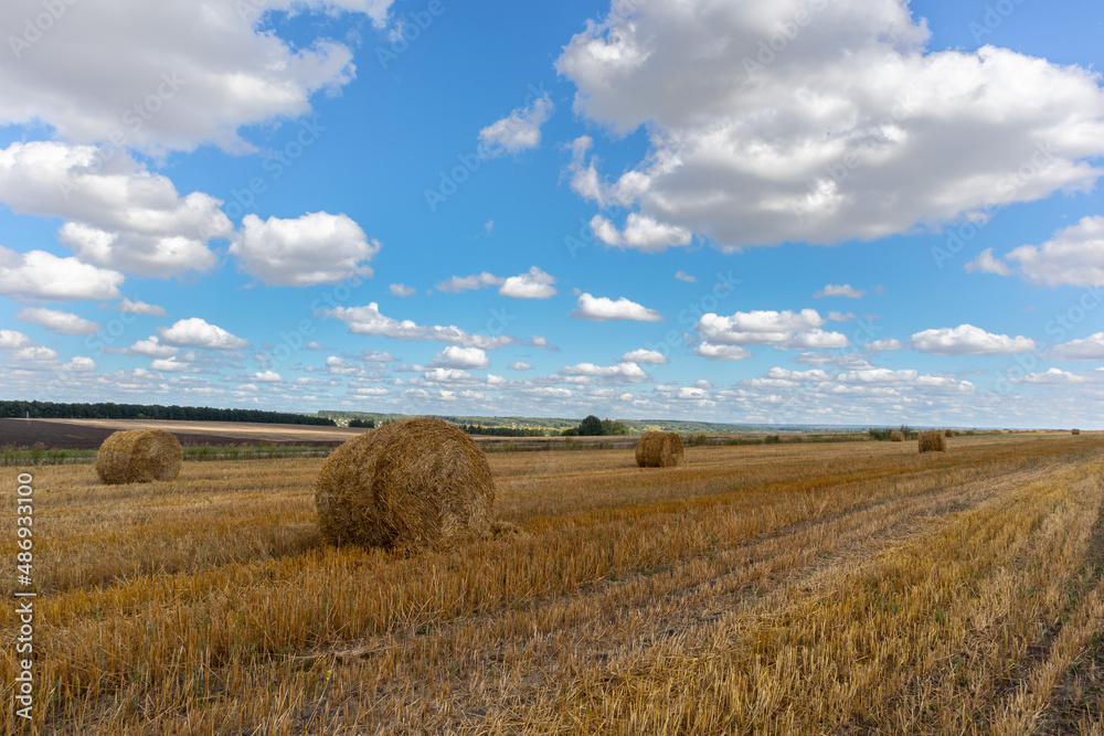 a field of mown grain with piles of straw under a cloudy sky
