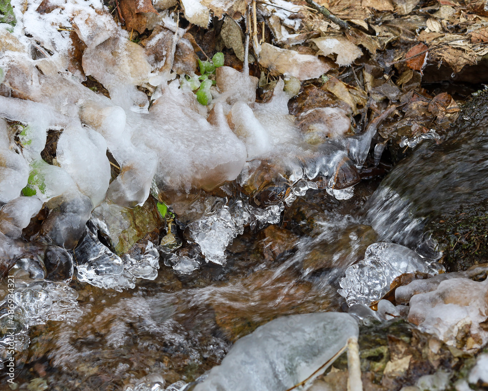 Fototapeta premium waterfall in the forest