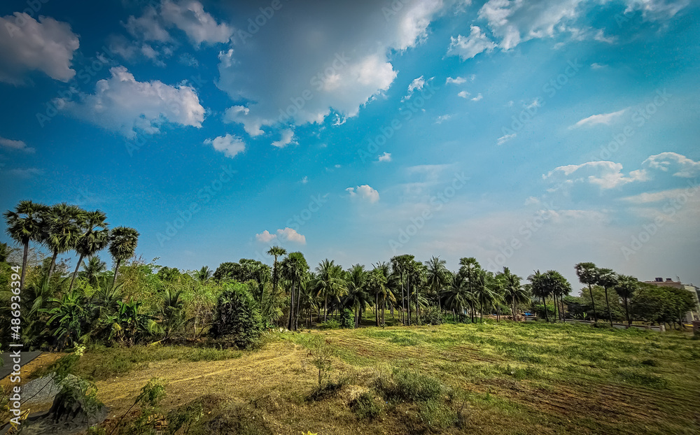 Ultra wide landscape with sky