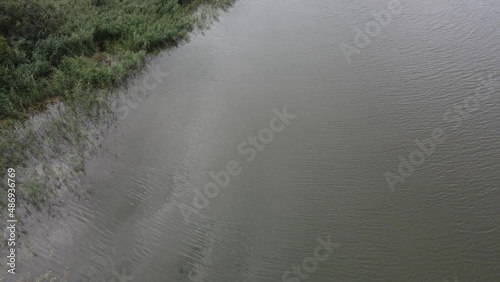 Russia. Istra reservoir and summer forest from above. aerial video.