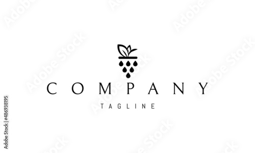 Vector logo on which an abstract image of a bunch of grapes in a minimalist style.