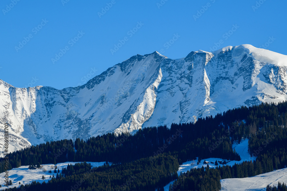 The close-up of the Domes de Miage in Europe, France, Rhone Alpes, Savoie, Alps, in winter, on a sunny day.