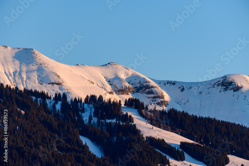 Fir forests and Mont Joly in Europe, France, Rhone Alpes, Savoie, Alps, in winter on a sunny day.