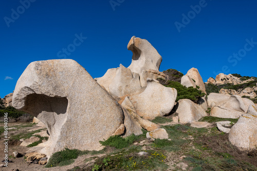 Iconic rock formation in valle della luna, santa teresa di gallura photo