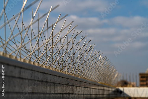 Canvastavla detail of steel spikes to scare away birds and other animals installed in a part