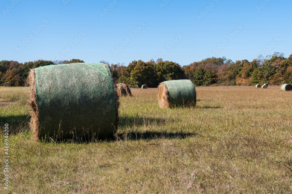 Round bales of hay in a meadow on a sunny afternoon