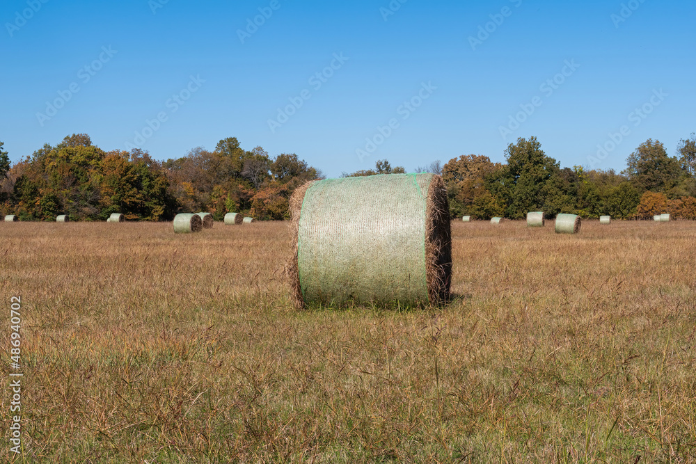 Round hay bale in a meadow with more bales in the background