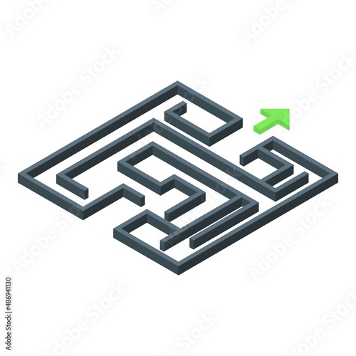 Mind labyrinth icon isometric vector. Focus balance. Brain control