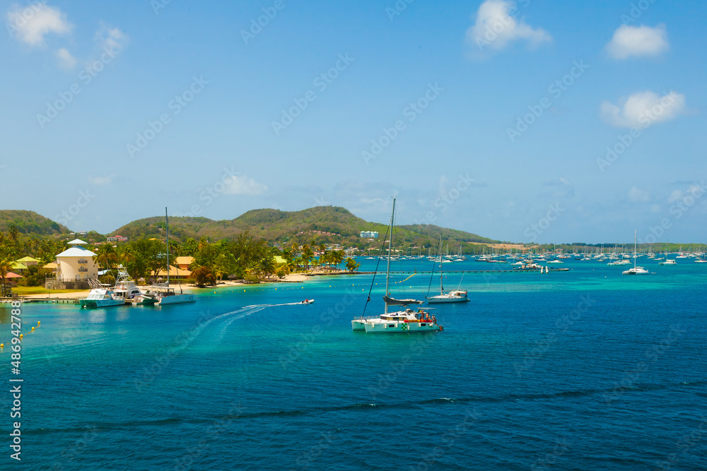 Fototapeta premium The coast of the island of Martinique in the Caribbean. Yachts, palm trees, beaches and turquoise water. Paradise island of Martinique.