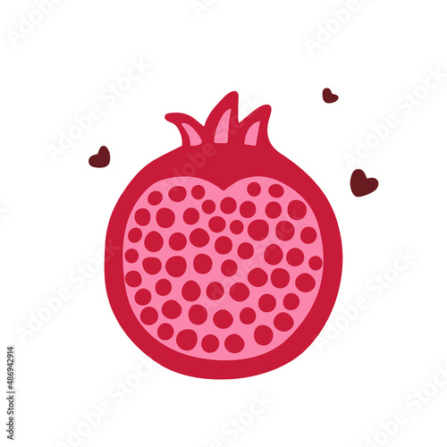 Vector half pomegranate fruit on white background