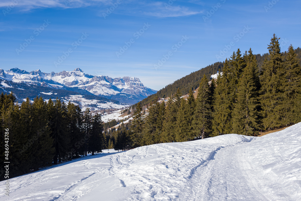 The hiking trails in front of the Chaine des Aravis in Europe, France, Rhone Alpes, Savoie, Alps, in winter, on a sunny day.