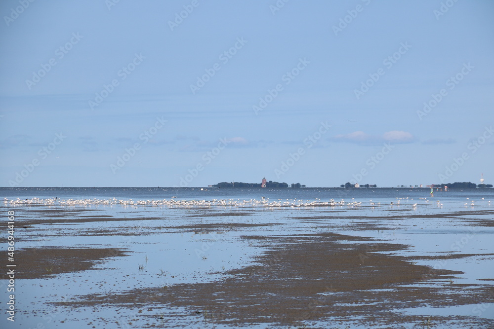 Landschaft im Watt vor Cuxhaven mit Blick Richtung Insel Neuwerk Landschaft im Watt vor Cuxhaven mit Blick Richtung Insel Neuwerk