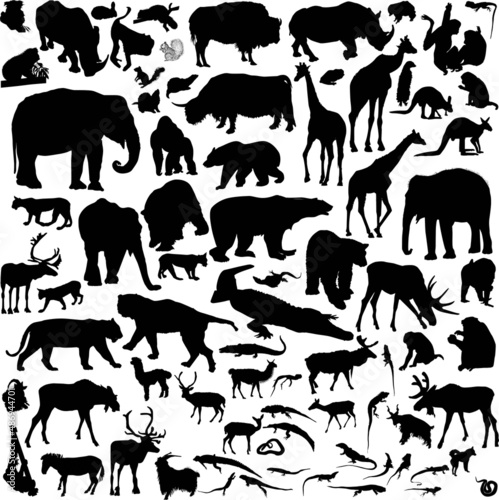 large set of animals black isolated silhouettes