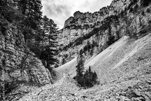 Paysage Vercors 