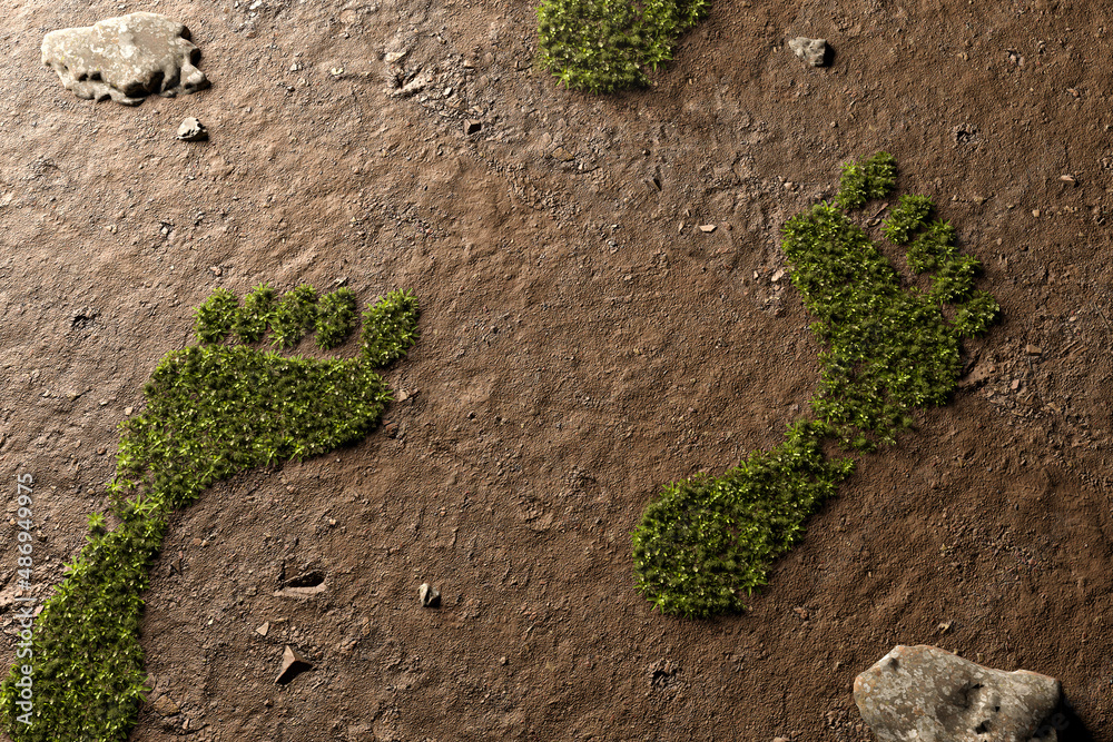 Plants grow in footprints / Carbon dioxide compensation - obrazy, fototapety, plakaty 