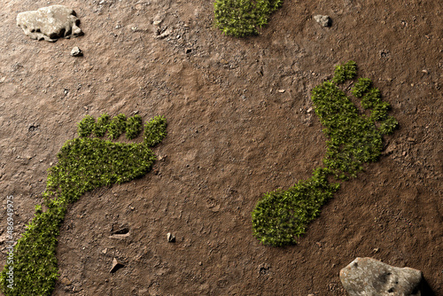 Plants grow in footprints / Carbon dioxide compensation photo