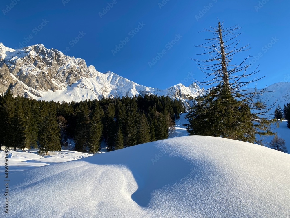 Winter ambience and beautiful idyllic atmosphere on the snow-capped Alpine mountain Alpstein in the Appenzell Alps massif - Switzerland (Schweiz)