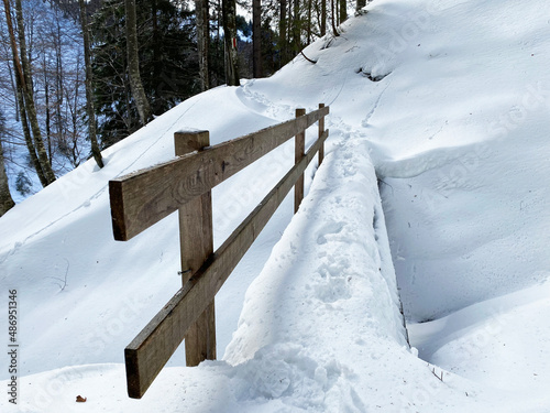 Wooden forest bridges covered with deep alpine snow in mixed mountain forest - Appenzell Alps massif, Switzerland (Schweiz)