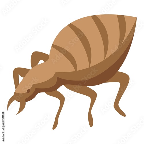 Bug icon isometric vector. Control pest. Chemical insect