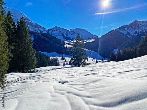 Picturesque winter alpine landscape with alpine peaks, hills, forests and pastures covered with deep fresh snow - Appenzell Alps massif, Switzerland (Schweiz)
