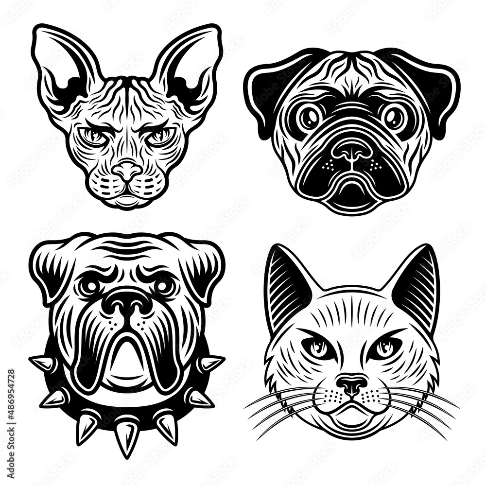 Animals set of vector objects in vintage black and white style. Bulldog and pug dog, sphynx cat and domestic cat