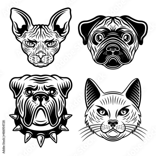 Animals set of vector objects in vintage black and white style. Bulldog and pug dog  sphynx cat and domestic cat