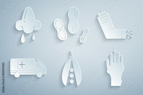 Set Kidney beans, Inhaler, Emergency car, Hand with psoriasis or eczema, Peanut and Runny nose icon. Vector