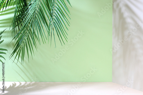 Empty showcase for display or presentation of cosmetic products  stage for design  abstract background with palm leaves and long shadows  modern creative display 