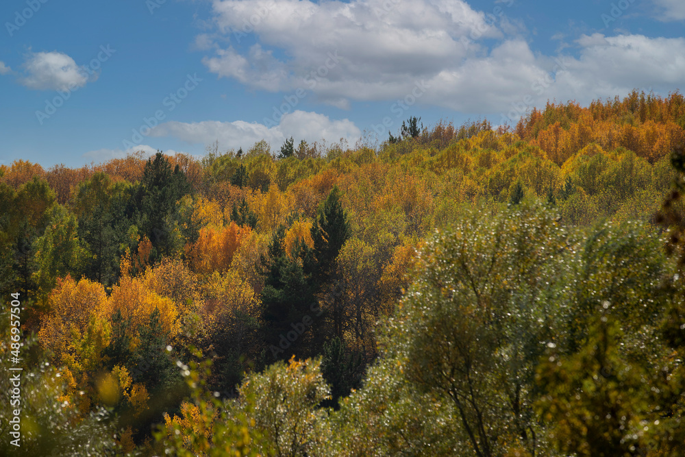 Fototapeta premium Wonderful lake view in the autumn forest. Reflection. Selective focus. High quality photo Ankara, Cubuk, Karagol