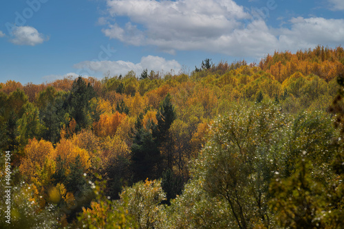 Wonderful lake view in the autumn forest. Reflection. Selective focus. High quality photo Ankara, Cubuk, Karagol