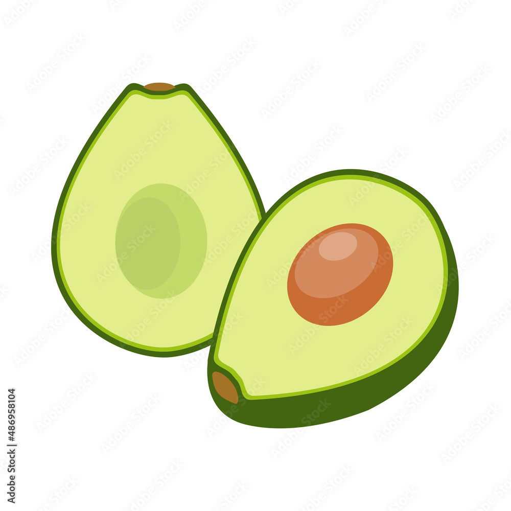 cut avocado on white background, vector illustration cut avocado on white background, vector illustration