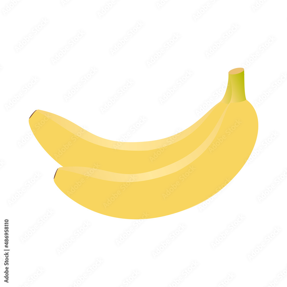 two banana isolated on white background, vector illustration