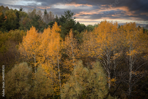 Wonderful lake view in the autumn forest. Reflection. Selective focus. High quality photo Ankara, Cubuk, Karagol