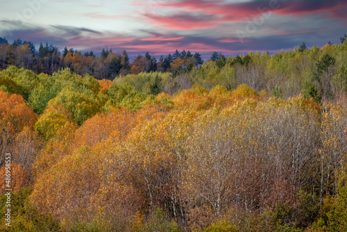 Wonderful lake view in the autumn forest. Reflection. Selective focus. High quality photo Ankara, Cubuk, Karagol