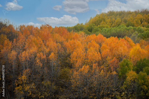 Wonderful lake view in the autumn forest. Reflection. Selective focus. High quality photo Ankara, Cubuk, Karagol