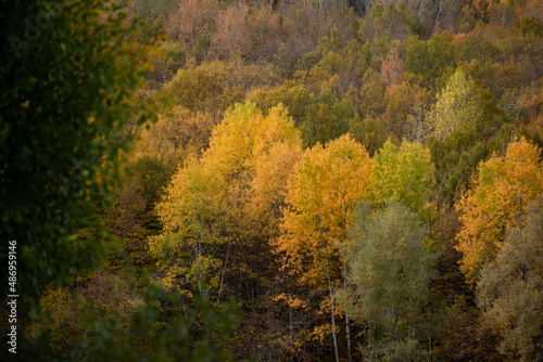 Wonderful lake view in the autumn forest. Reflection. Selective focus. High quality photo Ankara, Cubuk, Karagol