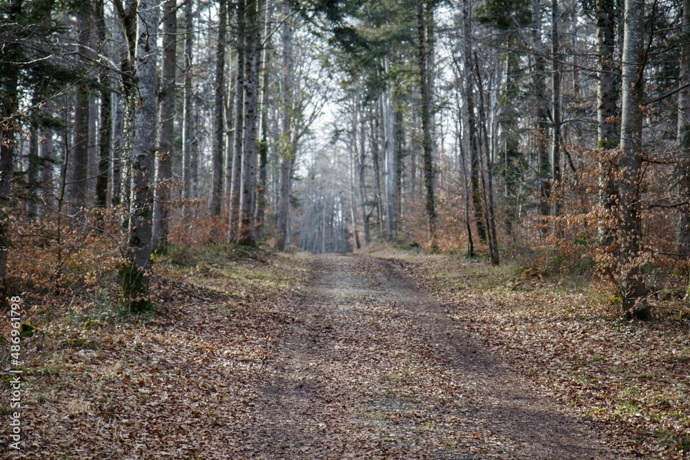 Obraz premium Romainmôtier