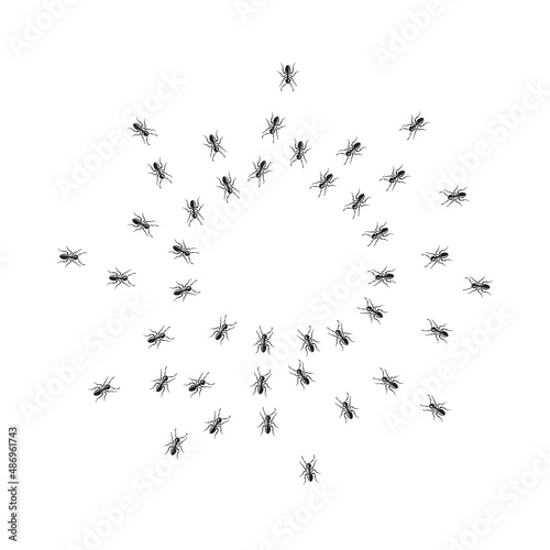 Hordes of ants otakut from all sides in a circle. © JuliaBliznyakova