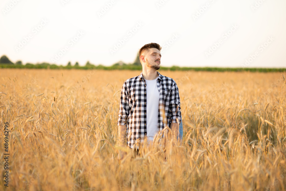Man farmer standing in a wheat field during sunset. Farmer in checkered shirt checking wheat crop. 