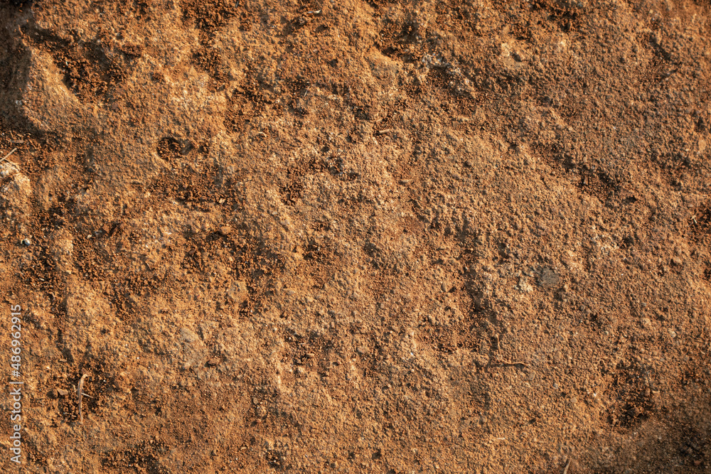 Mud Texture Image of soil