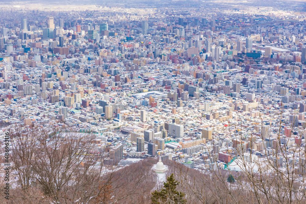 【北海道】札幌のパノラマ風景　冬景色　雪景色　藻岩山山頂より