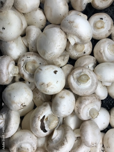 mushrooms on a market stall