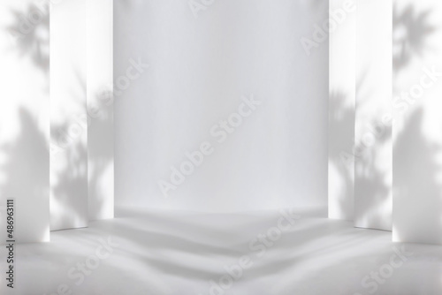 Abstract white 3d studio background for cosmetic product presentation. Empty grey room with shadows of window. Display product with blurred backdrop.