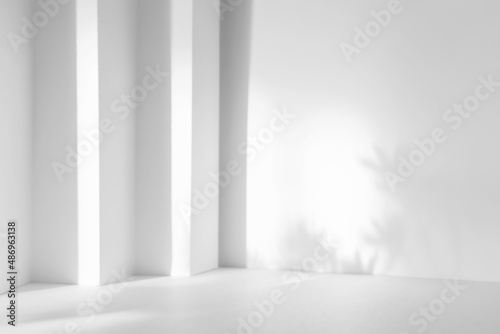 Abstract white 3d studio background for cosmetic product presentation. Empty grey room with shadows of window. Display product with blurred backdrop.