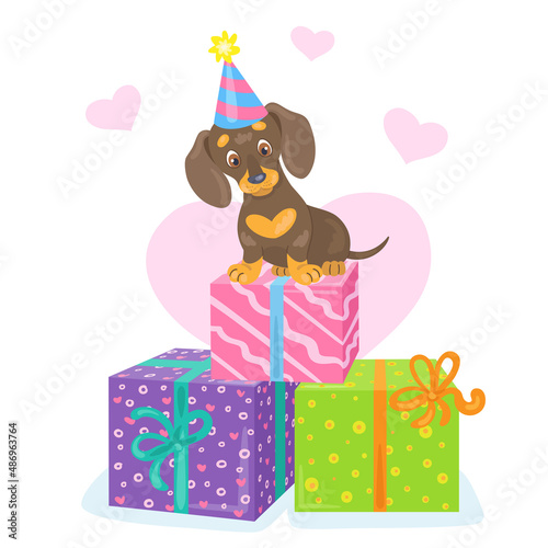 Funny dachshund puppy in a festive cap sits on colorful gift boxes. In cartoon style. Separate on a white background. Vector illustration © Shvetsova Yulia