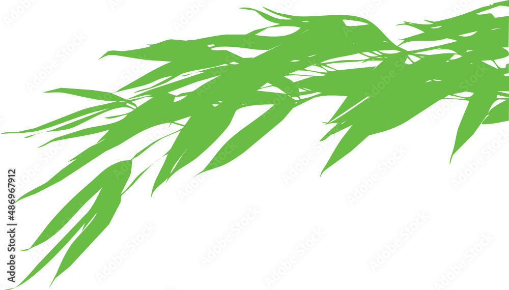 Vecteur de feuilles et tiges de bambous sur fond transparent Stock