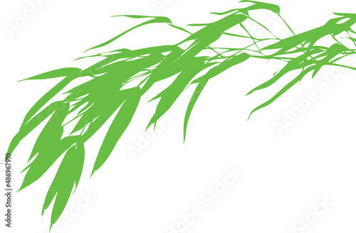 Fototapeta Naklejka Na Ścianę i Meble -  Vecteur de feuilles et tiges de bambous sur fond transparent